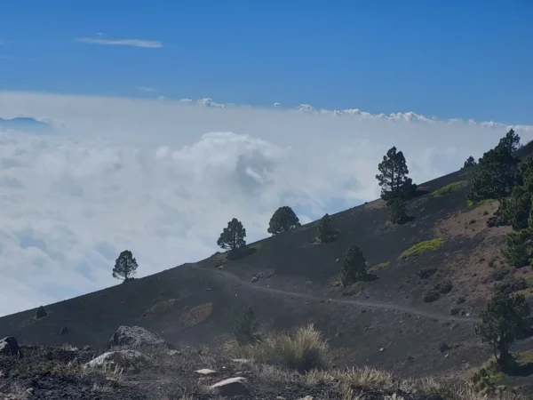Hiking Acatenango Volcano - Image 3