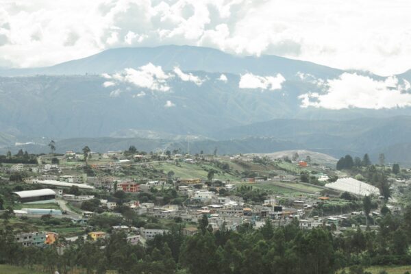 Renascentist Comalapa - Image 2