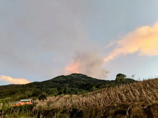 Hiking Acatenango Volcano - Image 2