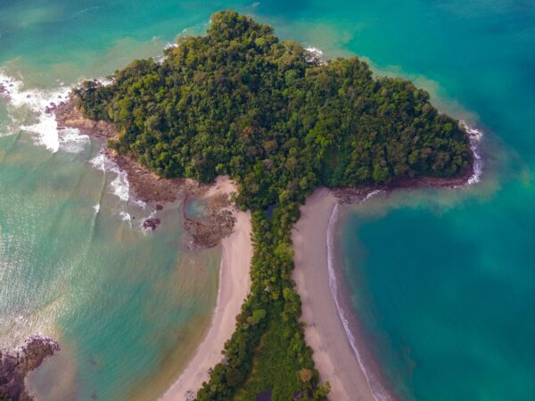 Costa Rica: Manuel Antonio jungle mysteries - Image 4