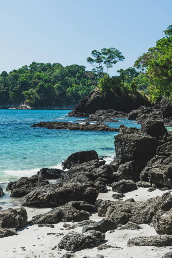 Costa Rica: Manuel Antonio jungle mysteries - Image 6