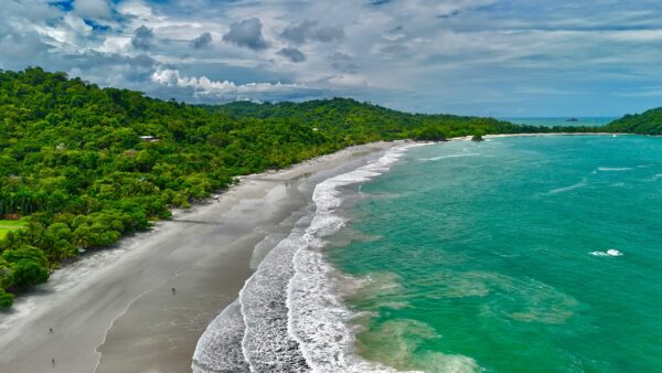 Costa Rica: Manuel Antonio jungle mysteries - Image 7