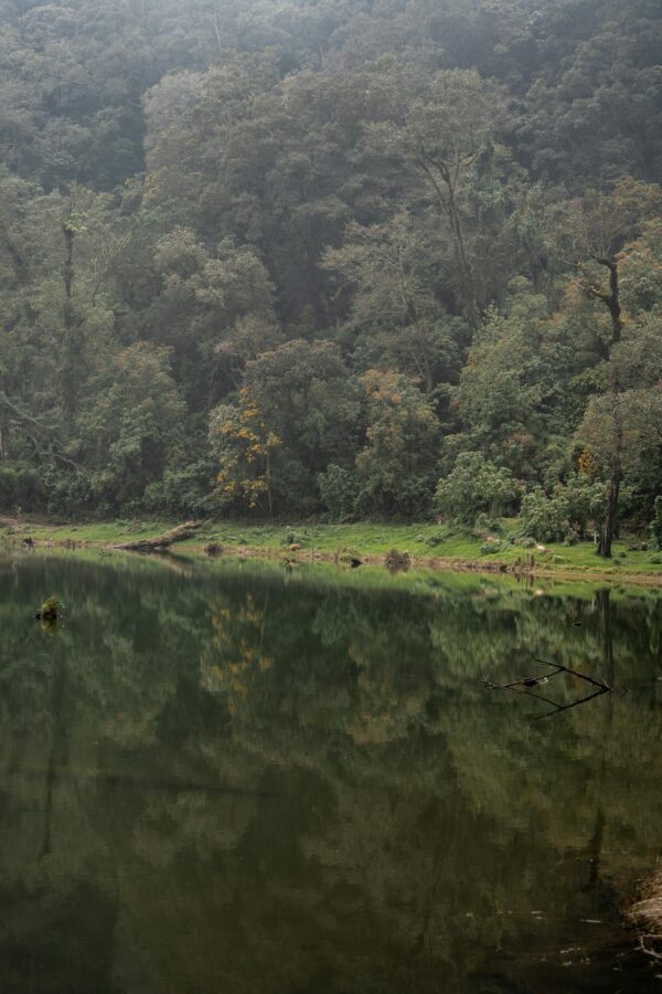 Serene lake reflecting a lush forest in Quetzaltenango, creating a calming and mystical atmosphere.